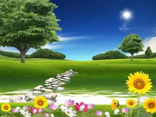 《繁花》封面